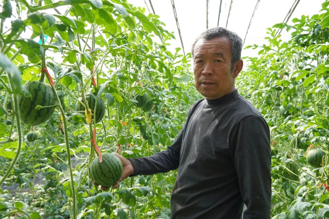 12baac3e56a94807b8beccb0a77c4bc4