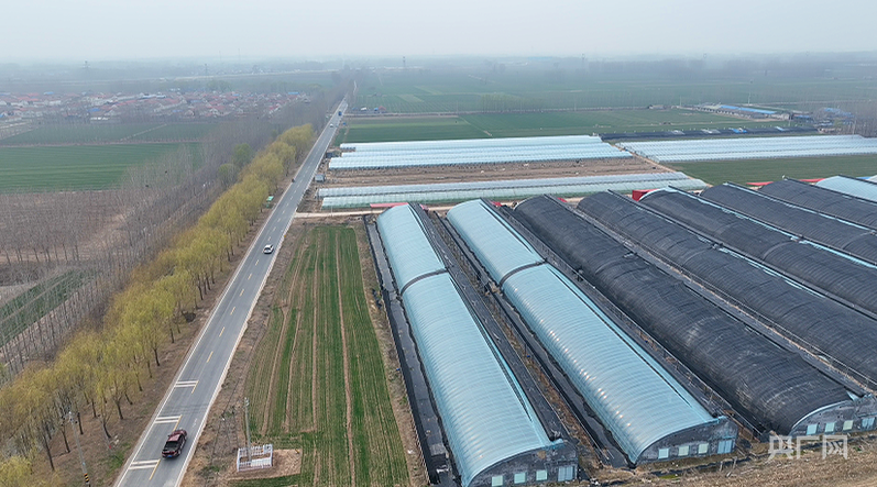 d1f36a452266463e83b2b42fd64301df