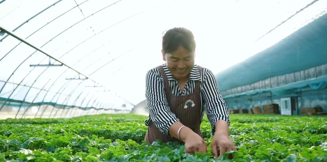 d029816d915a4fa2908e52b6622cd6b1