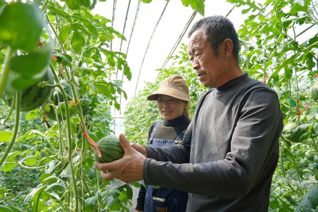 0aa55684329e46b48819deed1d1d8af4