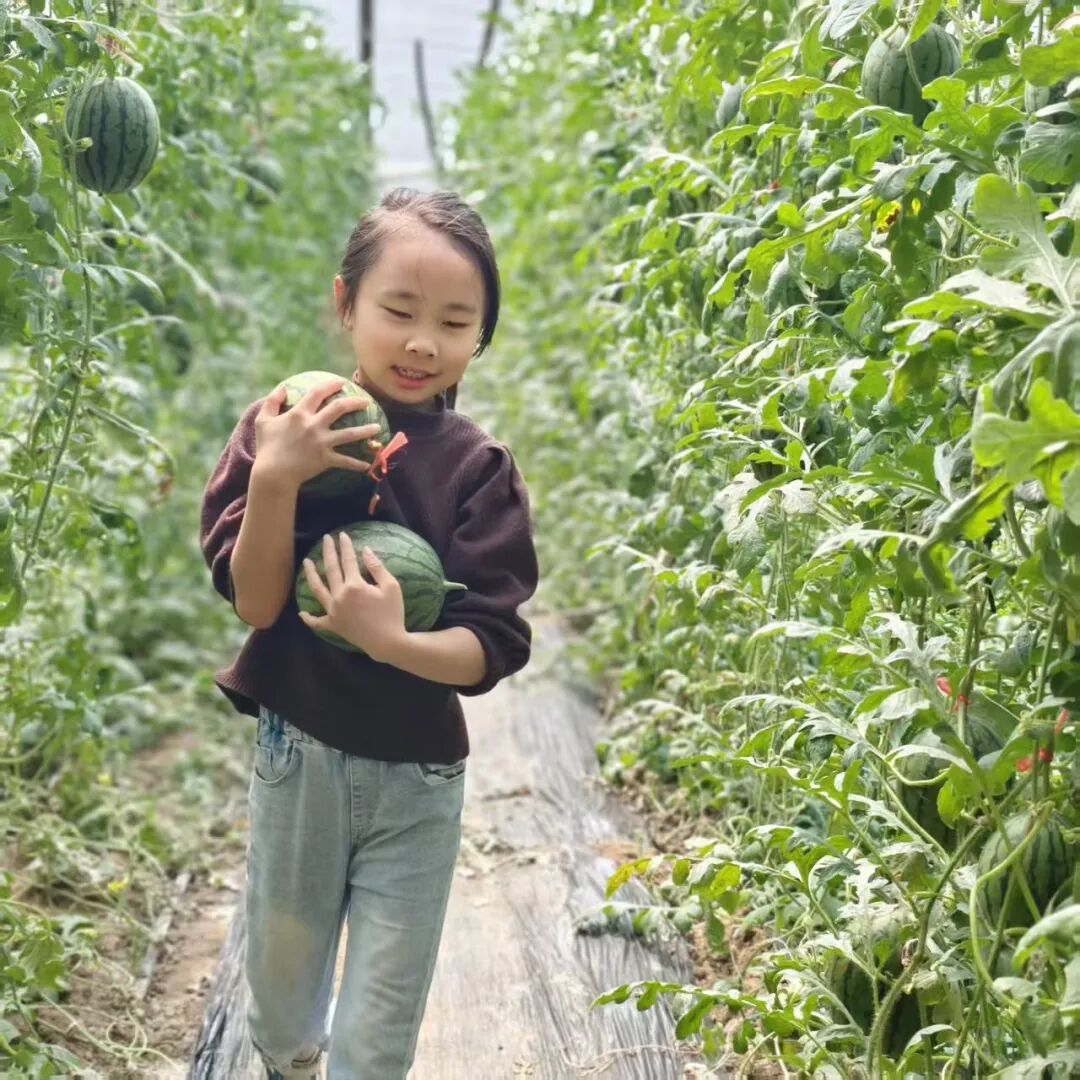 4898bd130bb448cdafcbfbf230cbf897