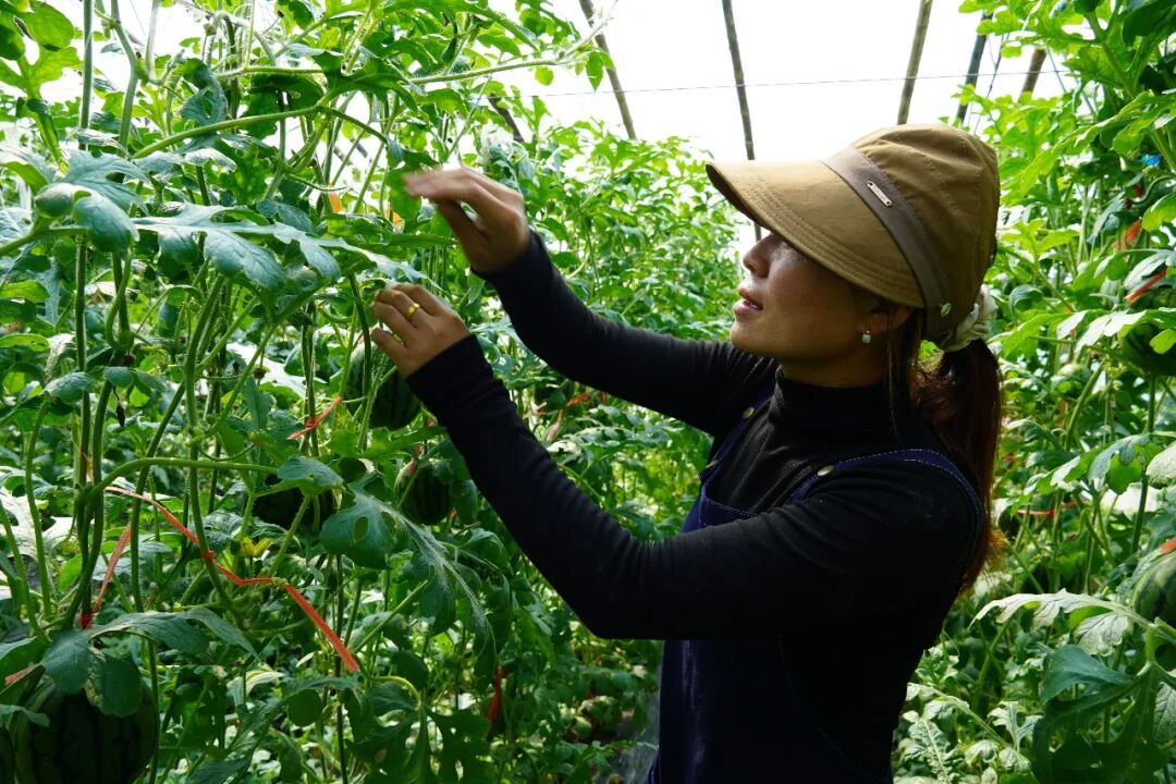 53487d1a55b443df954ce2fab588a91d