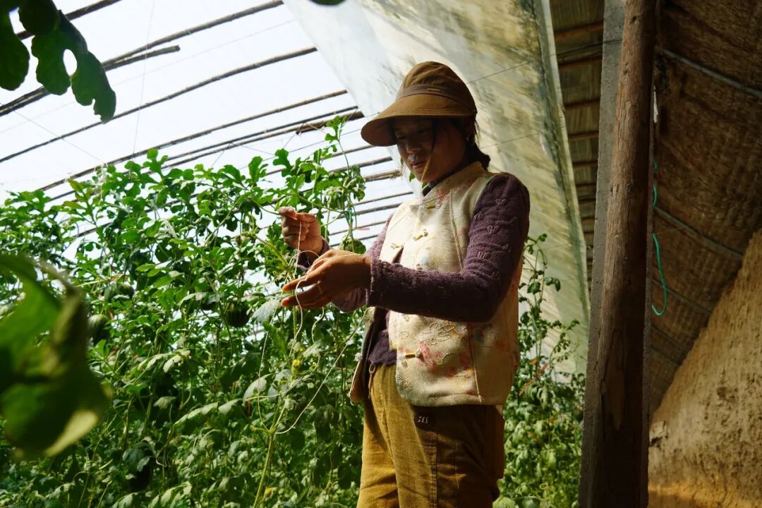 8090dd46b5e944139038b719a826c566