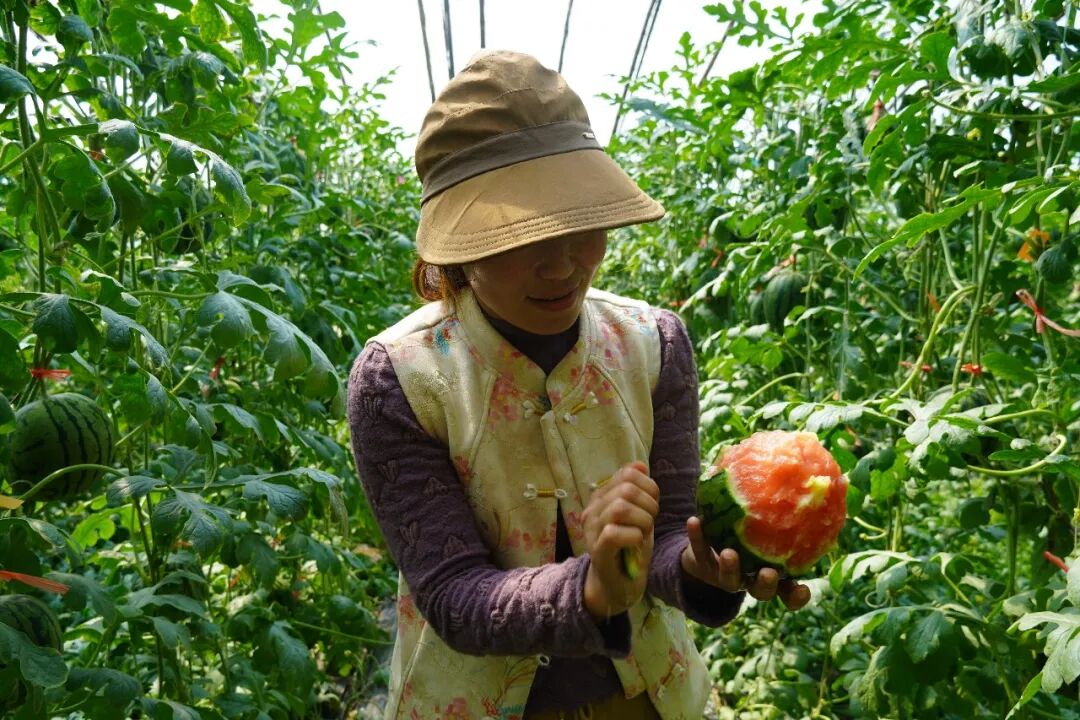 a2e8a9300342463d8b3cfb07fa087328