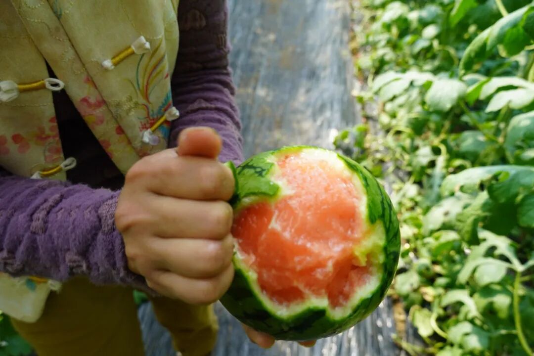 ea384eabc584479599f9838e3b35ba06